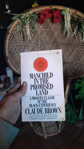 Man Child in the Promise Land